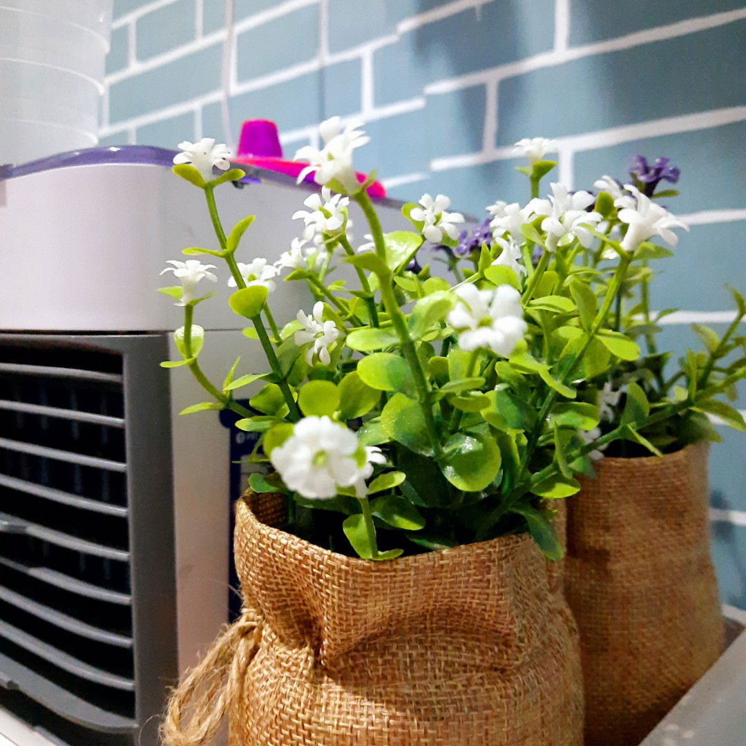 fitryanni profile icon