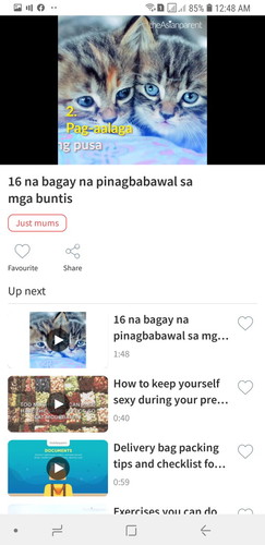 bawal mag alaga ng pusa