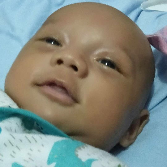 wianis wibowo profile icon