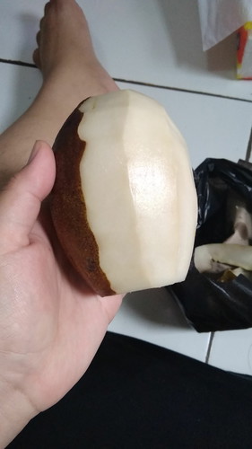 buah wani/kemang/mangga bali