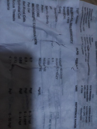 urinalysis test