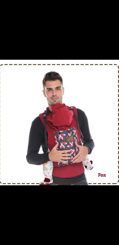 baby carrier