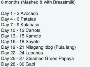Handy Guide - Menu for introducing solid food for 6months old Babies