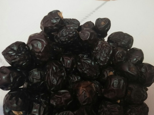 kurma