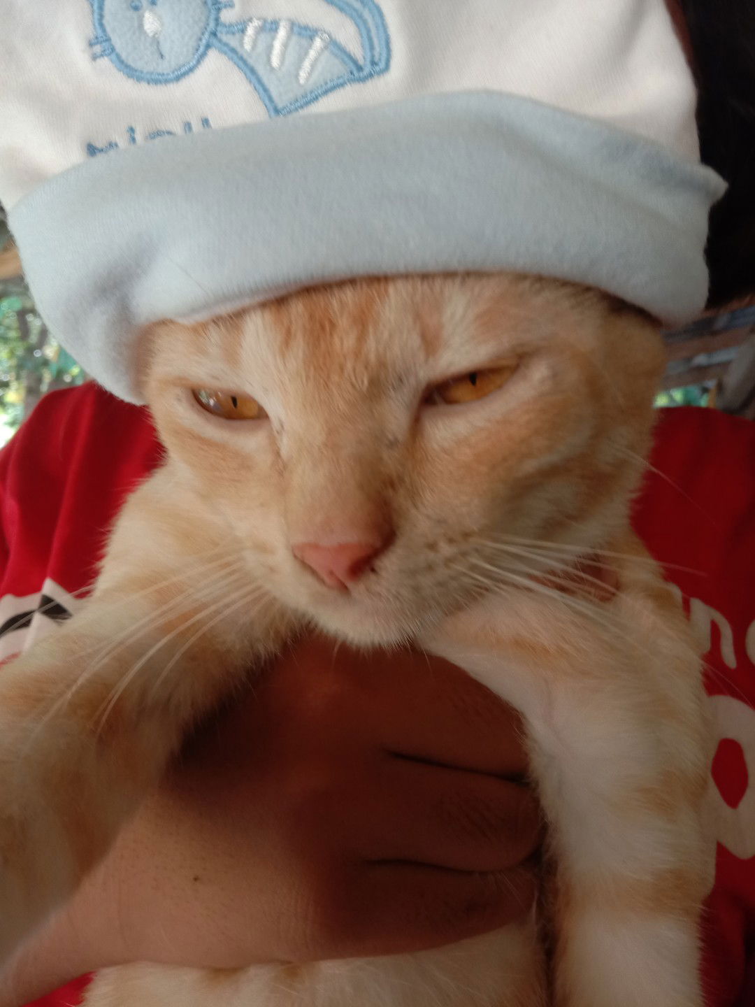 กานต์ profile icon