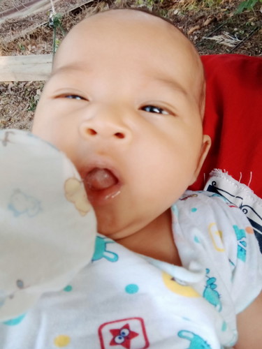 น้ำนม