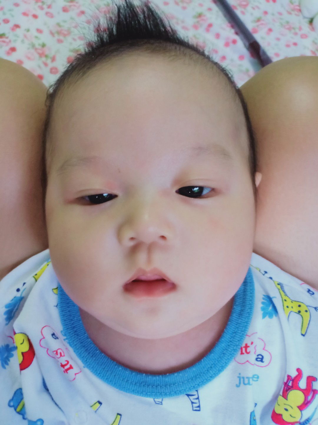 น้องพอตเตอร์