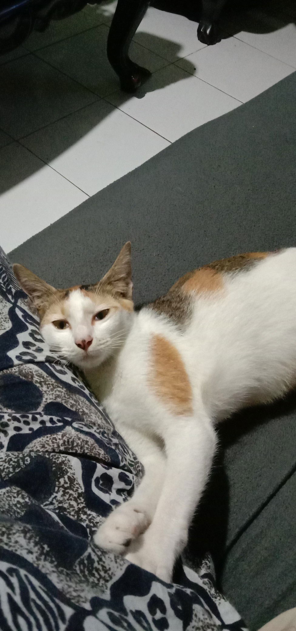 Dilla Amelia Maharani profile icon