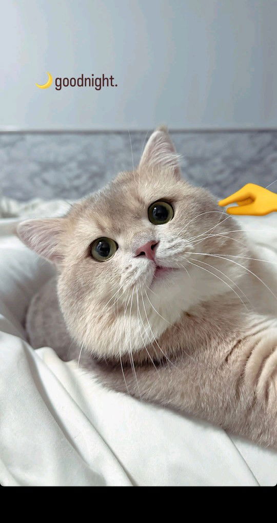 Nurma Yunita profile icon