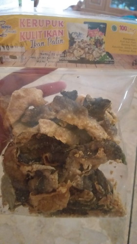 kerupuk kulit ikan
