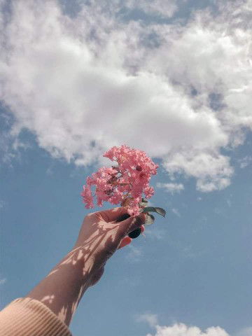 Suzana.A profile icon