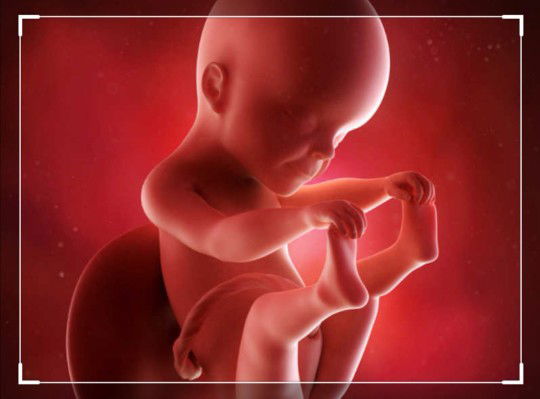 Ly Yanie profile icon