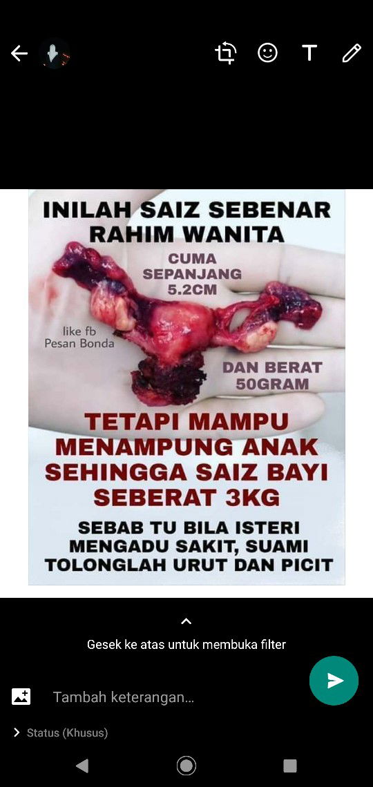 ke hebatan seorang ibu