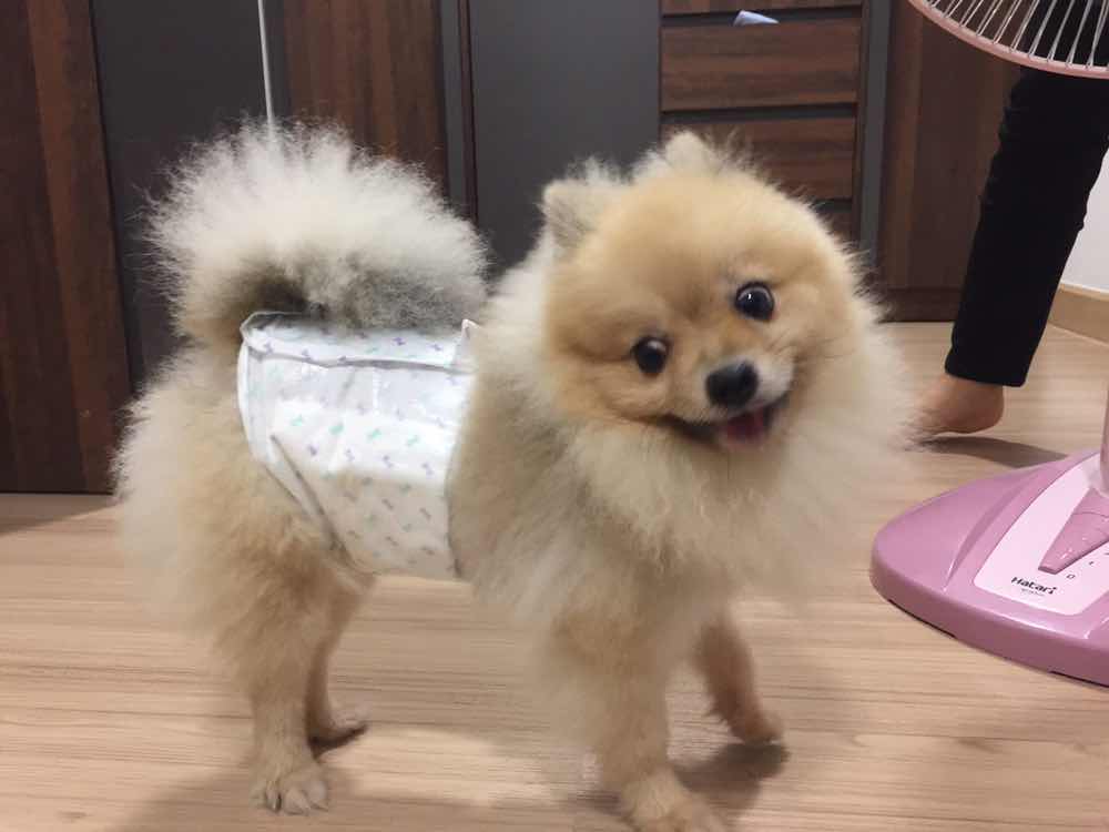 Pin Pin Ploy profile icon