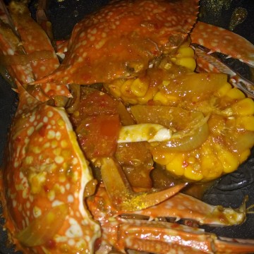 ngidam kepiting