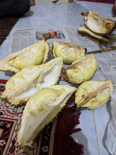 makan durian