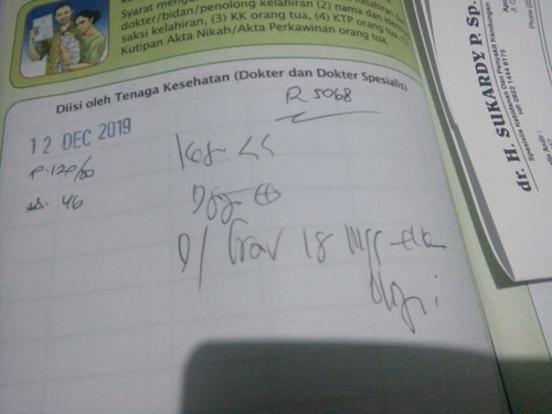 ada yang ngerti bahasanya ?