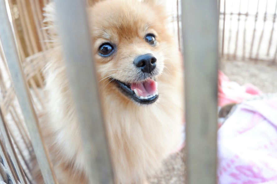 หนูกุ้ง profile icon