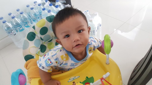 ฟันขึ้นตอนกี่เดือน