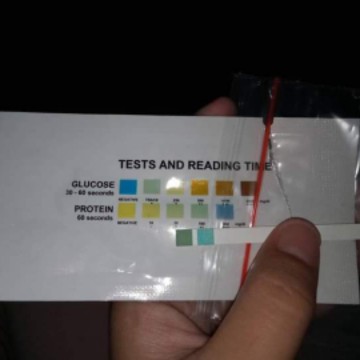 alat tes protein urine