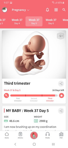 37w5days