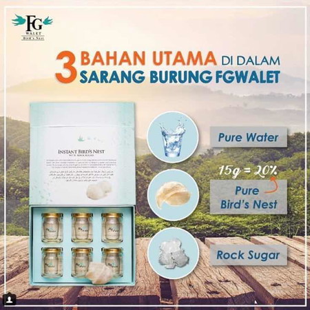 Birds Nest Consumption during Pregnant