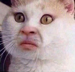 อาภรณ์สวรรค์ เทียบกลาง profile icon