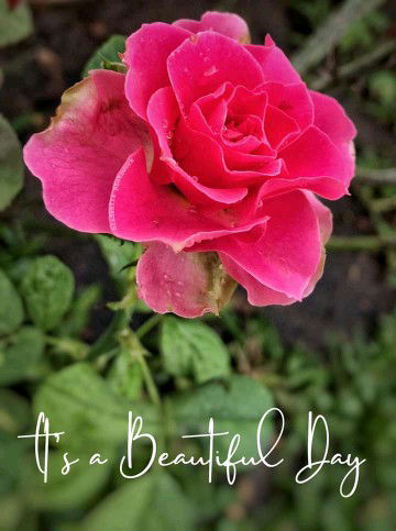 yuliya Safitri profile icon