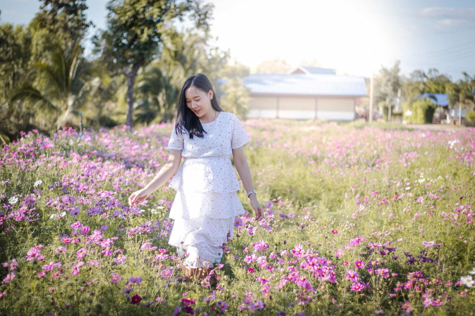 Cosmo Aung profile icon