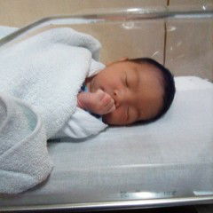 nichapa profile icon