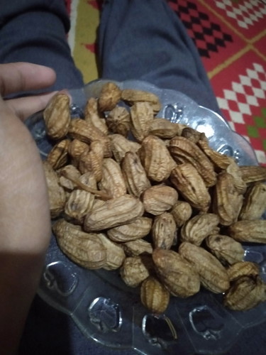kacang