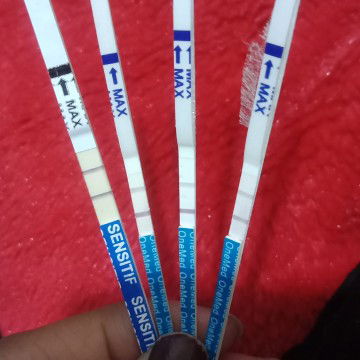 belom ngerti soal tespeck