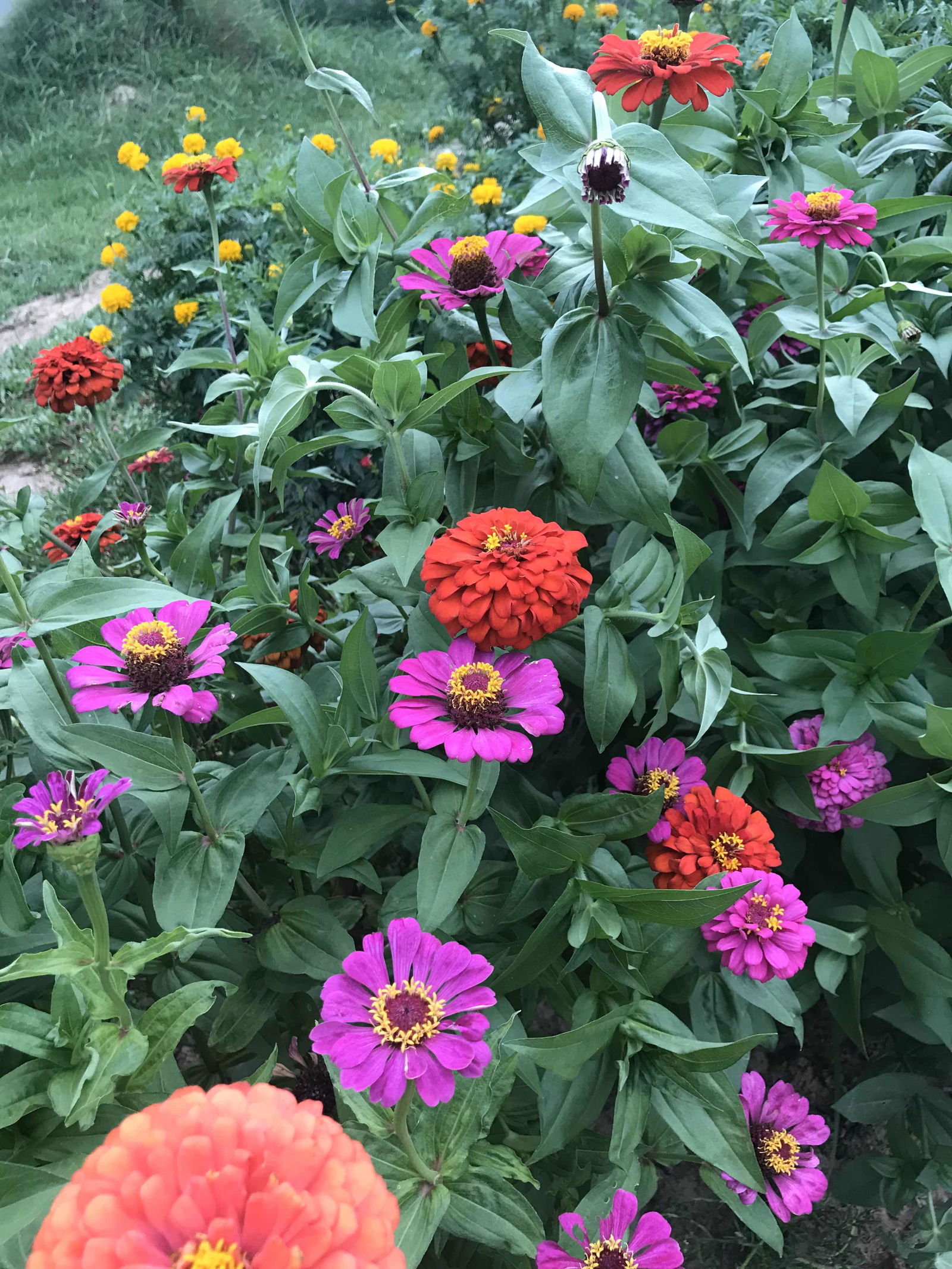 Primnada Sailada profile icon