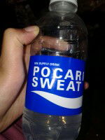 pocari