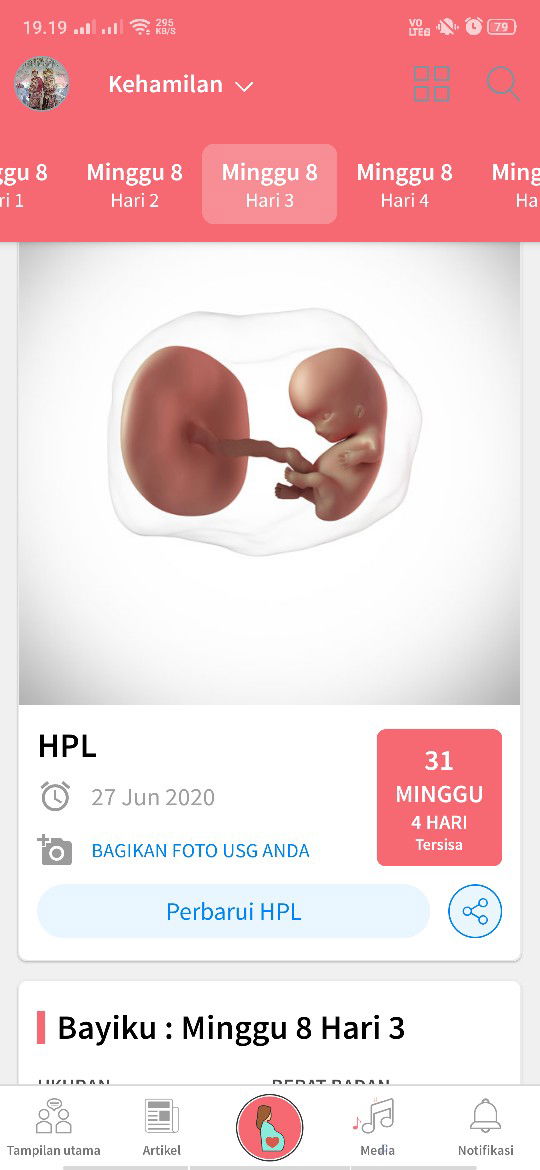 Janin tidak berkembang???