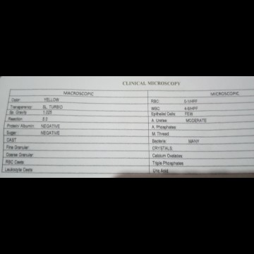Result