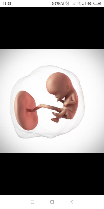 endahsafitry profile icon