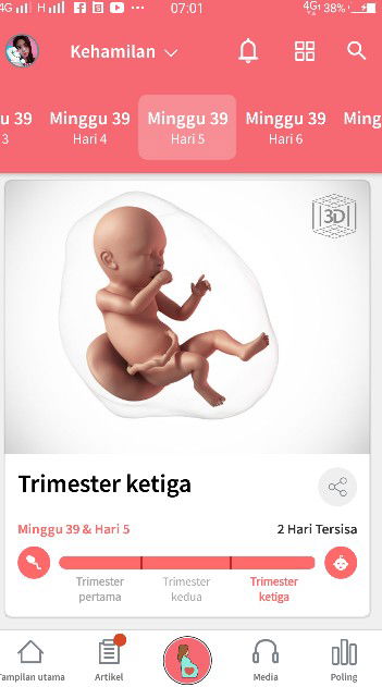 kehamilan