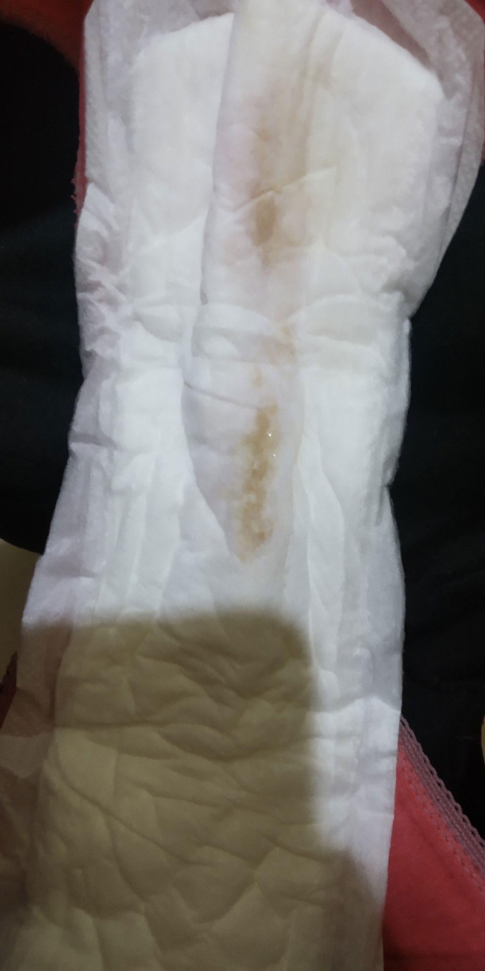 Eve Prim/Bloody Show????