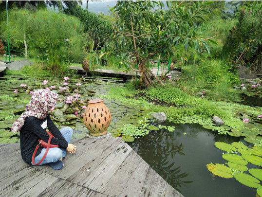 dessi annisa profile icon