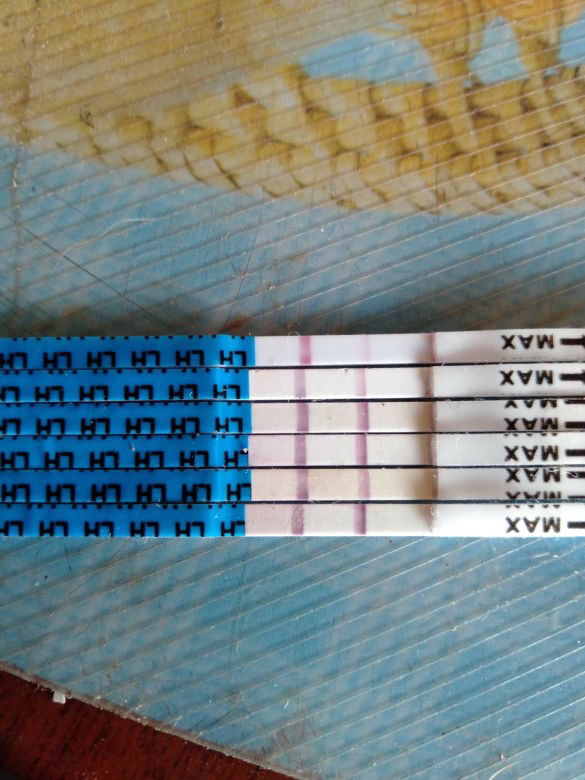 ประจำเดือนขาดไป 17 วันแล้วคะ