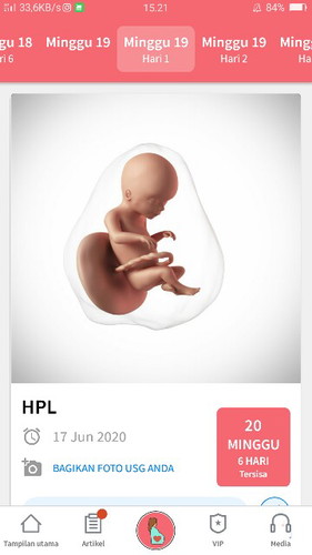 19 week