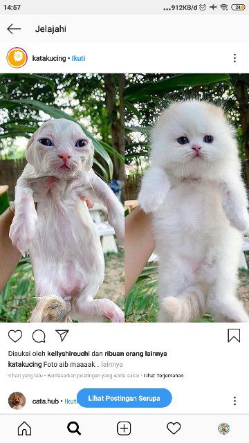 Anggiie_Tantiana profile icon