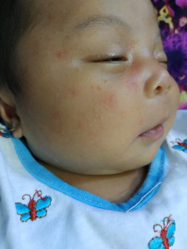 bayi 25 hari