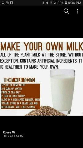 Hemp Seeds Milk