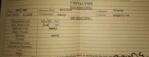 Urinalysis