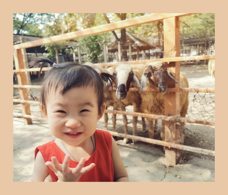 ชอบพาลูกเที่ยวไปที่ไหนกันบ้างคะ... สำหรับวัยหัดเดินเตาะแตะ