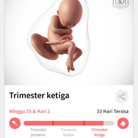 bayi belum masuk panggul