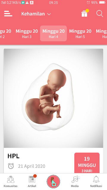 kehamilan