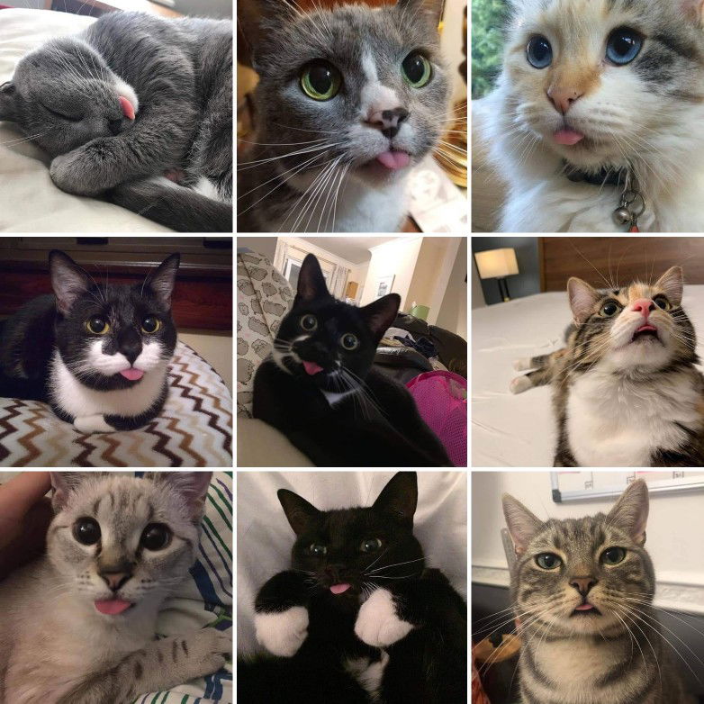 Fanisya Nurfauziah profile icon